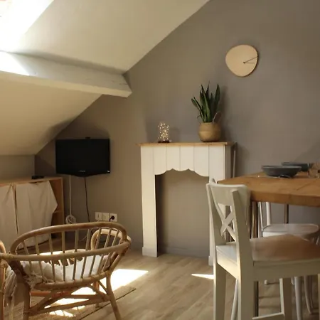 Nid Douillet Proche Hyper-centre Apartment